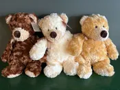 12in Plush Bear — Larkspur & Rose - Caribou, Maine Florist