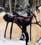 Bareback Saddle In Solid Leather — Australian Stock Saddle Company By Colin Dangaard Inc.