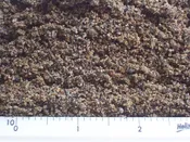 Concrete Sand