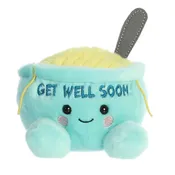5" Bean Bag Chicken Soup Get well soon