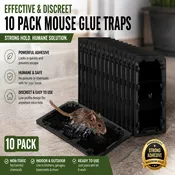 10-Pack Large Glue Traps – Rats, Mice, Snakes & Crawling Insects