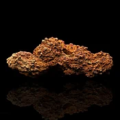 Authentic Dinosaur Coprolite Dung Fossil – 282 g