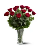1 Dozen Premium Roses