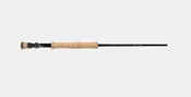 ASQUITH SALTWATER