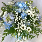 Baby Blue