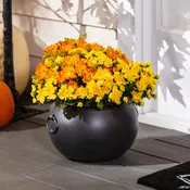 12" Witch's Cauldron Planter and Halloween Candy Bowl