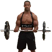 BB23 Bicep Bomber