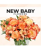 NEW BABY FLORIST’S PICK