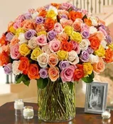 100 PREMIUM LONG-STEM ROSES