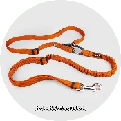 Ashbury Hands-Free Dog Leash