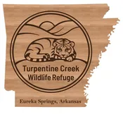 Logo on Arkansas Laser Cut Wood Magnet