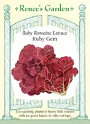 Baby Romaine Lettuce - Ruby Gem
