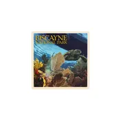 Coaster – Biscayne National Park Art Sea Turtle & Coral Reef