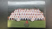 2008 Arizona Diamondbacks Baseball Post Cards