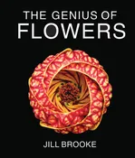 The Genius of Flowers: What Life’s Most Beautiful Creations Can Teach Us