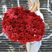 100 Roses