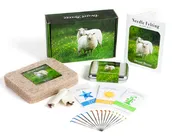 Basic Tools Needle Felting Kit by Desert Breeze Distributing