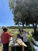 Yoga, Sound Bath & Flower Bar in the Garden — Carolina Charm
