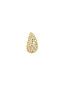 Shiny Icon Single Earring