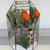 Santa Fe Cactus Garden