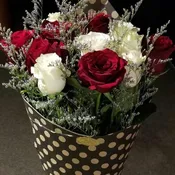 DOZEN ROSES