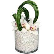 AF 100-23 White Cymbidium Orchids In Glass Vase With Bear Grass Design Floral Arrangement