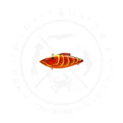 Mustard Bill Lewis Rat-L-Trap 1/2 Oz