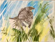 Amy Dobrian: "Prairie Queen" Monotype