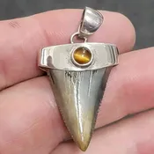 .925 Silver Cap Fossil Great White Shark Tooth – SilverGw6