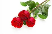 Add Red Roses