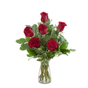 Red Roses (6)