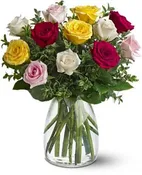 A Dozen Mixed Roses