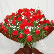 48 Rose Casket Spray  EF-200