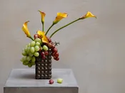 Golden Amber — Urban Botanica