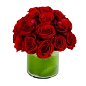 Red rose dome