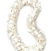 White Double Orchid Lei