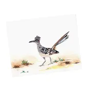 Roadrunner Watercolor Art Print