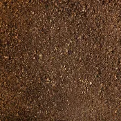 Peat Moss Bulk