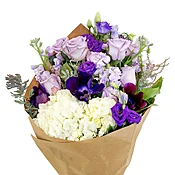 Amazing Amethyst Bundle