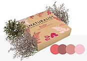 Blush Artificial Plant Kit
