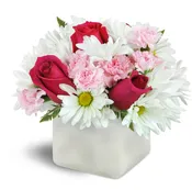 Vibrant Blooms™