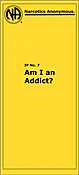 Am I an Addict?