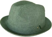 LiViTY's Froggy Fedora