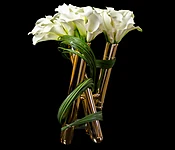 Calla Swivel