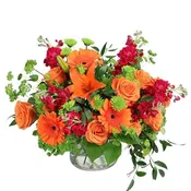 Orange Explosion