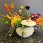 Designers Choice- White Pumpkin