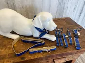 Blue Anchor Dog Collar