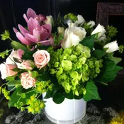 sweet spring petals