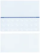 Blank Middle of Page Laser Checks