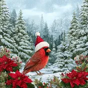 10" x 10" Cardinal with Santa Hat Sign TTE-315